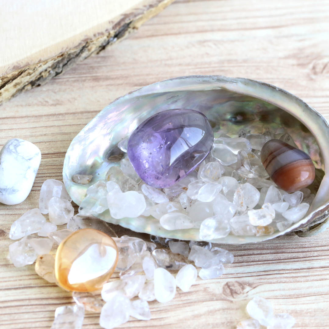 アバロンシェル浄化セット Lサイズ